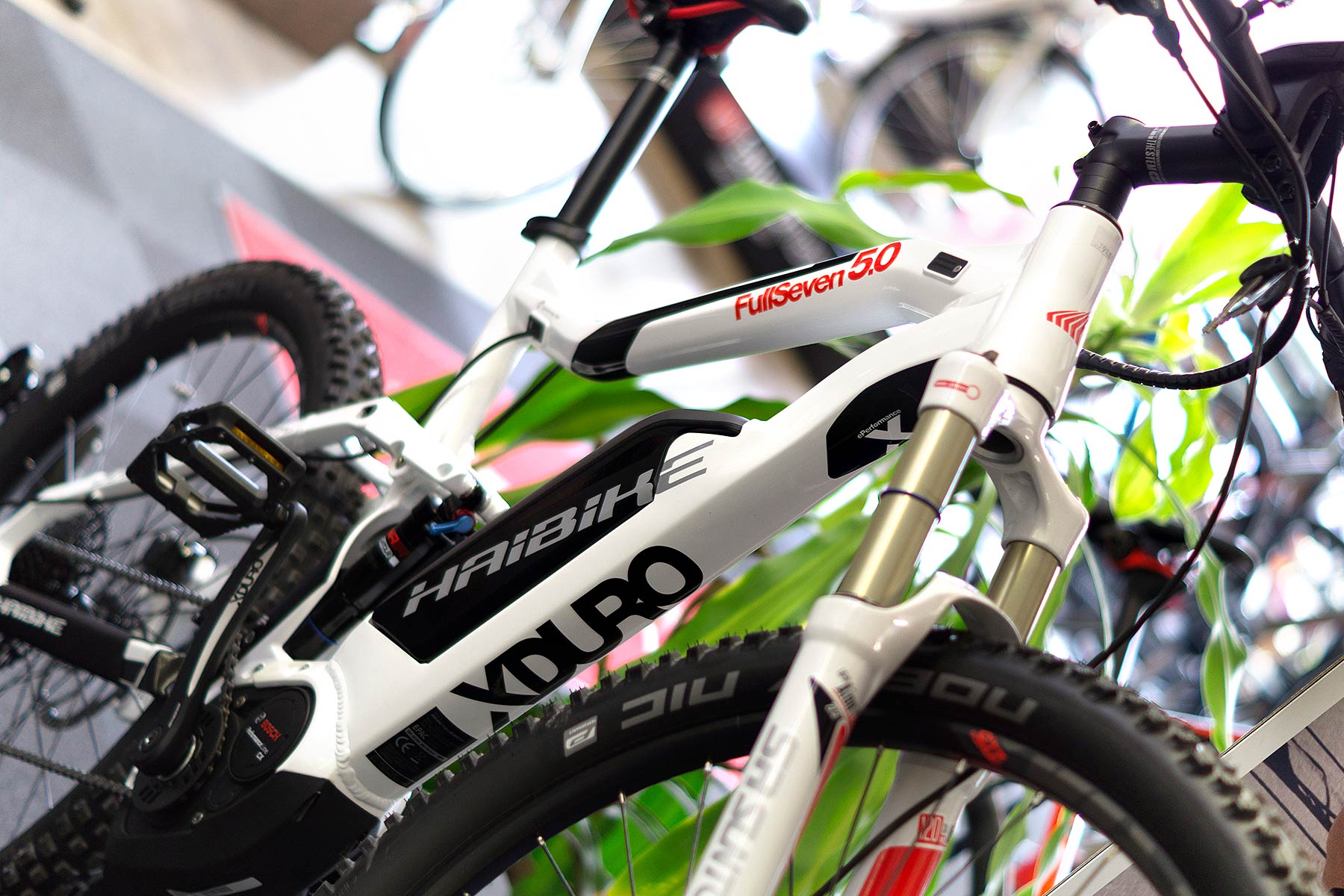 radsportschiffnerheader30 Radsport SchiffnerRadsport